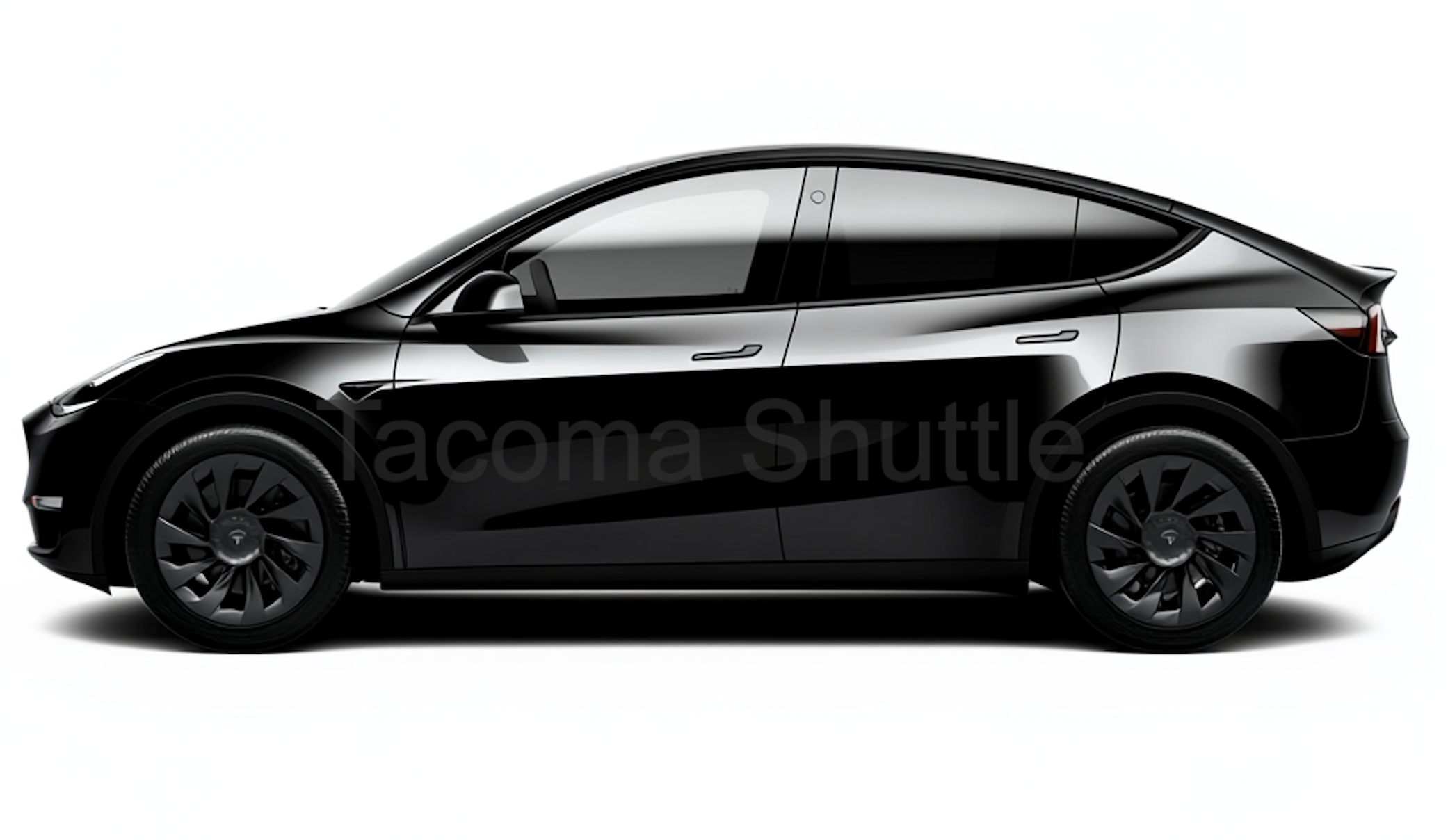 Tesla Model Y Similar